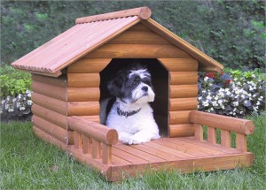 Выбор конструкции будки для собаки: теплая или холодная