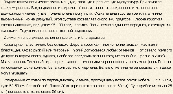 Описание собак породы боксер