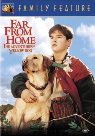 Вдали от дома: Приключения жёлтого пса смотреть онлайн фильм