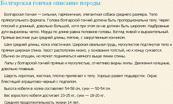 Описание породы болгарская гончая