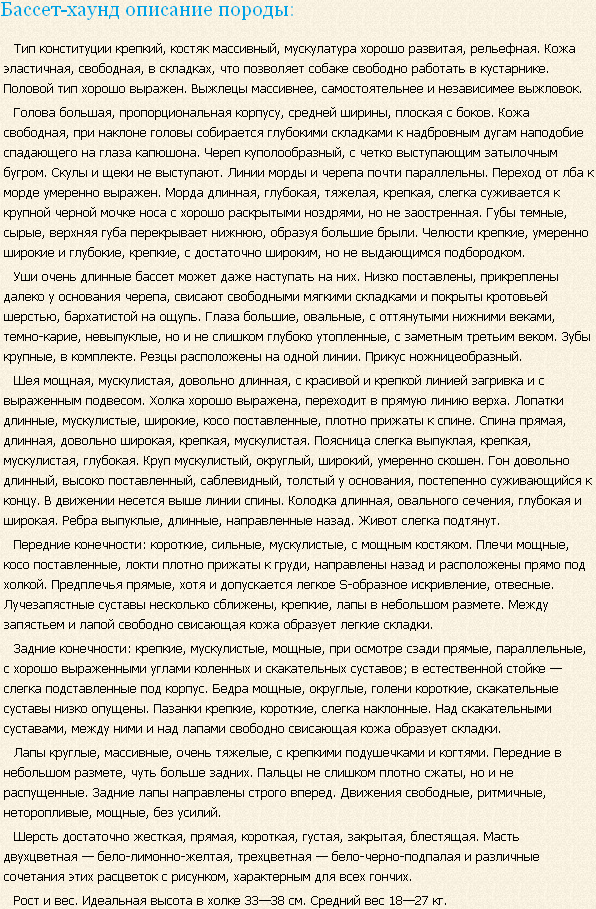 Описание породы бассет-хаунд