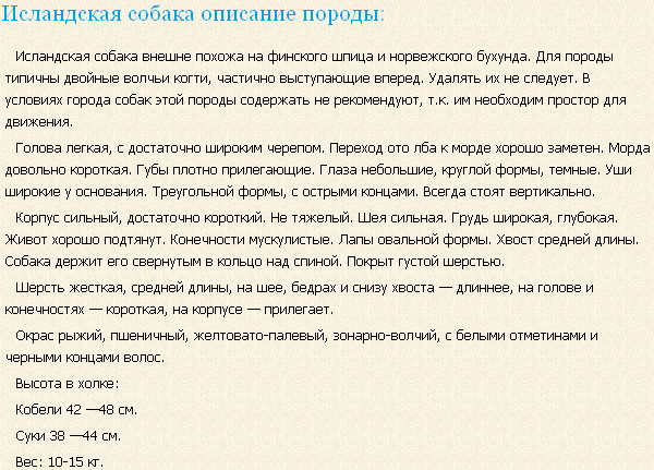 Описание породы исландская собака