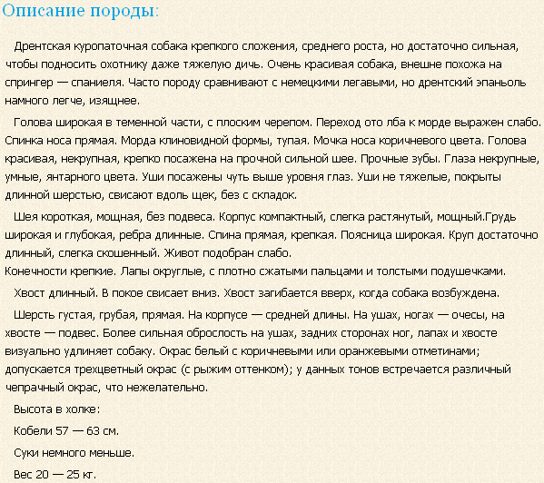 Описание породы дрентская куропаточная собака