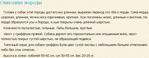 Описание породы гриффон Буле