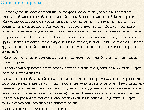 Описание породы англо-французская малая гончая (малый венери)